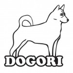 מאלף כלבים - אורי DOGORI